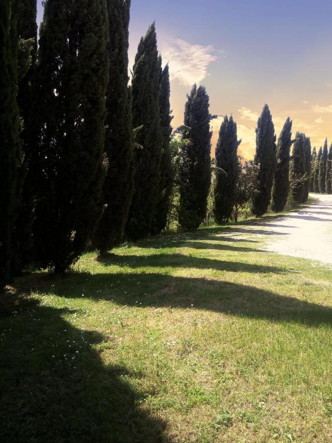 San Rocco a Pilli Villa Podere Cartaio Bio Estate Pool Airc מראה חיצוני תמונה