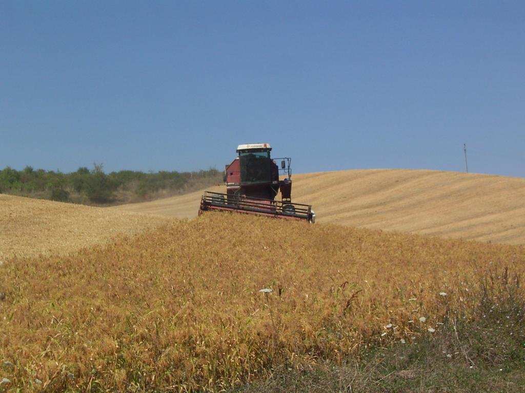 San Rocco a Pilli Villa Podere Cartaio Bio Estate Pool Airc מראה חיצוני תמונה